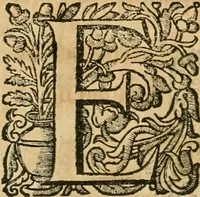 An illustration from Basilicae veteris vaticanae descriptio (1646)