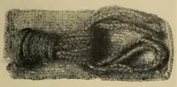 An illustration from A basket-maker cave in Kane County, Utah (1922)