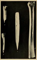 An illustration from A basket-maker cave in Kane County, Utah (1922)