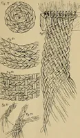 Picture 14 of 16 from Basket making .. (1902), leaf 36