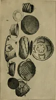 Picture 15 of 16 from Basket making .. (1902), leaf 38