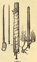 Picture 11 of 17 from The Basutos : or, twenty-three years in South Africa (1861), leaf 179