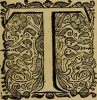 An illustration from Legatio Batavica ad magnum Tartariae chamum Sungteium, modernum Sinae imperatorem : historiarum narratione, quae legatis in provinciis Quantung, Kiangsi, Nanking, Xantung, Peking, & aula imperatoriâ ab anno 1655 ad annum 1657 obtigerunt, ut & ardua Sinensium in bello Tartarico fortunâ, provinciarum accurata geographia, urbium delineatione, nec non artis & naturae miraculis ex animalium, vegetabilium, mineralium genere per centum & quinquaginta aeneas figuras passim illustrata & conscripta vernacule (1668)