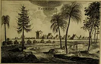 An illustration from Legatio Batavica ad magnum Tartariae chamum Sungteium, modernum Sinae imperatorem : historiarum narratione, quae legatis in provinciis Quantung, Kiangsi, Nanking, Xantung, Peking, & aula imperatoriâ ab anno 1655 ad annum 1657 obtigerunt, ut & ardua Sinensium in bello Tartarico fortunâ, provinciarum accurata geographia, urbium delineatione, nec non artis & naturae miraculis ex animalium, vegetabilium, mineralium genere per centum & quinquaginta aeneas figuras passim illustrata & conscripta vernacule (1668)
