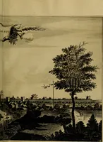 An illustration from Legatio Batavica ad magnum Tartariae chamum Sungteium, modernum Sinae imperatorem : historiarum narratione, quae legatis in provinciis Quantung, Kiangsi, Nanking, Xantung, Peking, & aula imperatoriâ ab anno 1655 ad annum 1657 obtigerunt, ut & ardua Sinensium in bello Tartarico fortunâ, provinciarum accurata geographia, urbium delineatione, nec non artis & naturae miraculis ex animalium, vegetabilium, mineralium genere per centum & quinquaginta aeneas figuras passim illustrata & conscripta vernacule (1668)