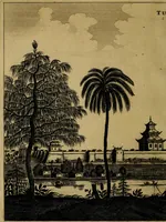 Picture 111 of 196 from Legatio Batavica ad magnum Tartariae chamum Sungteium, modernum Sinae imperatorem : historiarum narratione, quae legatis in provinciis Quantung, Kiangsi, Nanking, Xantung, Peking, & aula imperatoriâ ab anno 1655 ad annum 1657 obtigerunt, ut & ardua Sinensium in bello Tartarico fortunâ, provinciarum accurata geographia, urbium delineatione, nec non artis & naturae miraculis ex animalium, vegetabilium, mineralium genere per centum & quinquaginta aeneas figuras passim illustrata & conscripta vernacule (1668), leaf 253