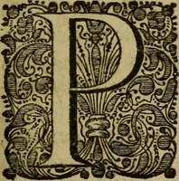 An illustration from Legatio Batavica ad magnum Tartariae chamum Sungteium, modernum Sinae imperatorem : historiarum narratione, quae legatis in provinciis Quantung, Kiangsi, Nanking, Xantung, Peking, & aula imperatoriâ ab anno 1655 ad annum 1657 obtigerunt, ut & ardua Sinensium in bello Tartarico fortunâ, provinciarum accurata geographia, urbium delineatione, nec non artis & naturae miraculis ex animalium, vegetabilium, mineralium genere per centum & quinquaginta aeneas figuras passim illustrata & conscripta vernacule (1668)