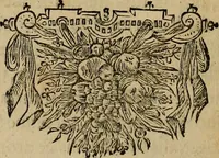 An illustration from Legatio Batavica ad magnum Tartariae chamum Sungteium, modernum Sinae imperatorem : historiarum narratione, quae legatis in provinciis Quantung, Kiangsi, Nanking, Xantung, Peking, & aula imperatoriâ ab anno 1655 ad annum 1657 obtigerunt, ut & ardua Sinensium in bello Tartarico fortunâ, provinciarum accurata geographia, urbium delineatione, nec non artis & naturae miraculis ex animalium, vegetabilium, mineralium genere per centum & quinquaginta aeneas figuras passim illustrata & conscripta vernacule (1668)
