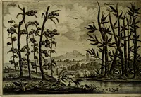 An illustration from Legatio Batavica ad magnum Tartariae chamum Sungteium, modernum Sinae imperatorem : historiarum narratione, quae legatis in provinciis Quantung, Kiangsi, Nanking, Xantung, Peking, & aula imperatoriâ ab anno 1655 ad annum 1657 obtigerunt, ut & ardua Sinensium in bello Tartarico fortunâ, provinciarum accurata geographia, urbium delineatione, nec non artis & naturae miraculis ex animalium, vegetabilium, mineralium genere per centum & quinquaginta aeneas figuras passim illustrata & conscripta vernacule (1668)