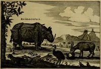An illustration from Legatio Batavica ad magnum Tartariae chamum Sungteium, modernum Sinae imperatorem : historiarum narratione, quae legatis in provinciis Quantung, Kiangsi, Nanking, Xantung, Peking, & aula imperatoriâ ab anno 1655 ad annum 1657 obtigerunt, ut & ardua Sinensium in bello Tartarico fortunâ, provinciarum accurata geographia, urbium delineatione, nec non artis & naturae miraculis ex animalium, vegetabilium, mineralium genere per centum & quinquaginta aeneas figuras passim illustrata & conscripta vernacule (1668)