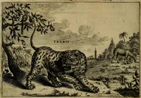 An illustration from Legatio Batavica ad magnum Tartariae chamum Sungteium, modernum Sinae imperatorem : historiarum narratione, quae legatis in provinciis Quantung, Kiangsi, Nanking, Xantung, Peking, & aula imperatoriâ ab anno 1655 ad annum 1657 obtigerunt, ut & ardua Sinensium in bello Tartarico fortunâ, provinciarum accurata geographia, urbium delineatione, nec non artis & naturae miraculis ex animalium, vegetabilium, mineralium genere per centum & quinquaginta aeneas figuras passim illustrata & conscripta vernacule (1668)