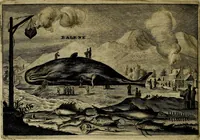 Picture 191 of 196 from Legatio Batavica ad magnum Tartariae chamum Sungteium, modernum Sinae imperatorem : historiarum narratione, quae legatis in provinciis Quantung, Kiangsi, Nanking, Xantung, Peking, & aula imperatoriâ ab anno 1655 ad annum 1657 obtigerunt, ut & ardua Sinensium in bello Tartarico fortunâ, provinciarum accurata geographia, urbium delineatione, nec non artis & naturae miraculis ex animalium, vegetabilium, mineralium genere per centum & quinquaginta aeneas figuras passim illustrata & conscripta vernacule (1668), leaf 475