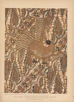 Picture 1 of 10 from De batik-kunst in Nederlandsch-Indië en haar geschiedenis (1914), leaf 8