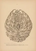 Picture 10 of 10 from De batik-kunst in Nederlandsch-Indië en haar geschiedenis (1914), leaf 98