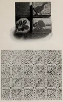 Picture 17 of 18 from Batik and other pattern dyeing (1920), leaf 131