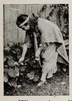 Picture 12 of 18 from Batik and other pattern dyeing (1920), leaf 99