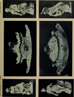 Picture 73 of 246 from Bau- und Kunstdenkmäler von Westfalen. Im Auftrage des Provinzial-Verbandes der Provinz Westfalen (1897), leaf 136