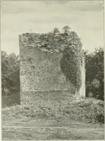 Picture 33 of 120 from Bau- und Kunstdenkmäler von Westfalen. Im Auftrage des Provinzial-Verbandes der Provinz Westfalen (1897), leaf 56