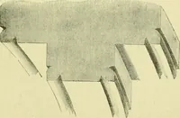 An illustration from A B C of Gothic architecture (1907)