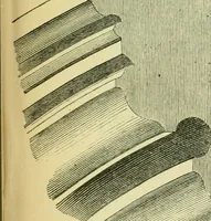 An illustration from A B C of Gothic architecture (1907)