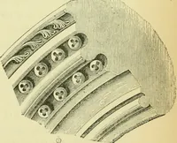 An illustration from A B C of Gothic architecture (1907)