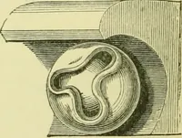 Picture 112 of 167 from A B C of Gothic architecture (1907), leaf 169