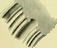 An illustration from A B C of Gothic architecture (1907)