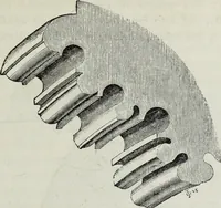 An illustration from A B C of Gothic architecture (1882)