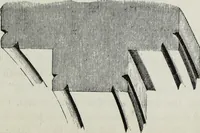 An illustration from A B C of Gothic architecture (1882)