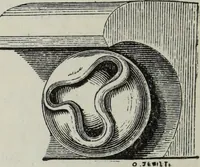 An illustration from A B C of Gothic architecture (1882)