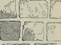 An illustration from A B C of Gothic architecture (1882)