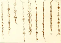 An illustration from Bead stringing (1904)