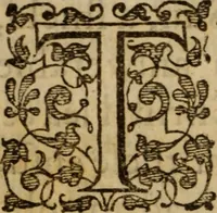 Picture 2 of 17 from Beames of divine light, breaking forth from severall places of Holy Scripture, as they were learnedly opened, in XXI. sermons ; The III. first being the fore-going sermons to that treatise called The bruised-reed, preached on the precedent words, by ... Richard Sibs .. (1639), leaf 13