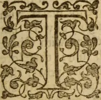 Picture 7 of 17 from Beames of divine light, breaking forth from severall places of Holy Scripture, as they were learnedly opened, in XXI. sermons ; The III. first being the fore-going sermons to that treatise called The bruised-reed, preached on the precedent words, by ... Richard Sibs .. (1639), leaf 154