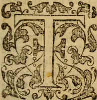 An illustration from Beames of divine light, breaking forth from severall places of Holy Scripture, as they were learnedly opened, in XXI. sermons ; The III. first being the fore-going sermons to that treatise called The bruised-reed, preached on the precedent words, by ... Richard Sibs .. (1639)