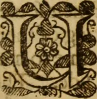 An illustration from Beames of divine light, breaking forth from severall places of Holy Scripture, as they were learnedly opened, in XXI. sermons ; The III. first being the fore-going sermons to that treatise called The bruised-reed, preached on the precedent words, by ... Richard Sibs .. (1639)