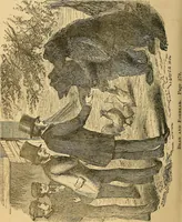 An illustration from Bear and forbear, or, The young skipper of Lake Ucayga (1871)