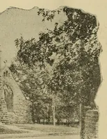 Picture 6 of 8 from The Bearings (1890), leaf 619