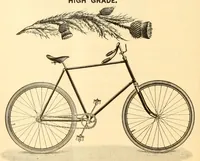 Picture 8 of 14 from The Bearings (1890), leaf 276