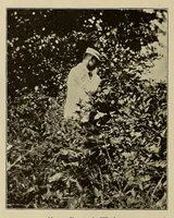 An illustration from The Bearings (1890)