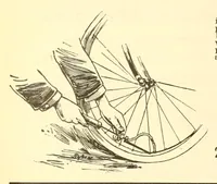 Picture 7 of 15 from The Bearings (1890), leaf 342