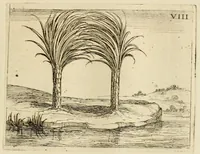 Picture 7 of 9 from Vita beatae Mariae Vir. Matris Dei emblematib[us] delineata (1646), leaf 21