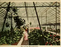 Picture 12 of 19 from Beautiful Columbia Gardens : the far-famed pleasure resort of Butte, leaf 29