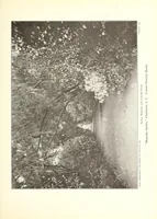 An illustration from Beautiful gardens in America (1916)