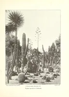 An illustration from Beautiful gardens in America (1916)