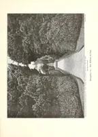 An illustration from Beautiful gardens in America (1915)