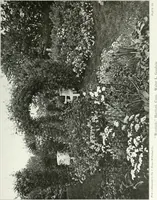 Picture 42 of 174 from Beautiful gardens in America (1915), leaf 116