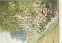 Picture 47 of 174 from Beautiful gardens in America (1915), leaf 132