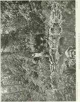 Picture 49 of 174 from Beautiful gardens in America (1915), leaf 136