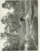 Picture 53 of 174 from Beautiful gardens in America (1915), leaf 142